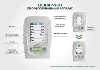СКЭНАР-1-НТ (исполнение 01)  в Ноябрьске купить Медицинская техника - denasosteo.ru 